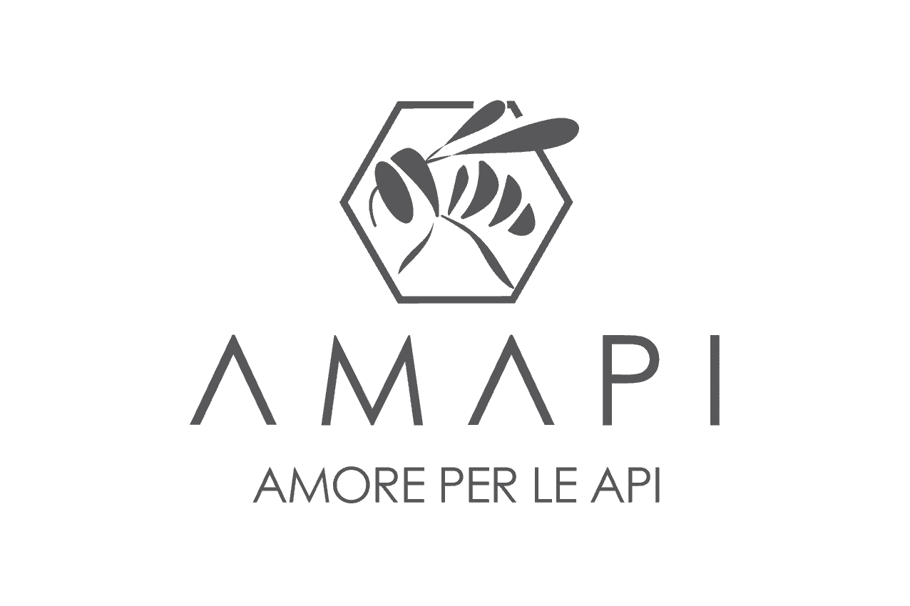 logo Amapi-01